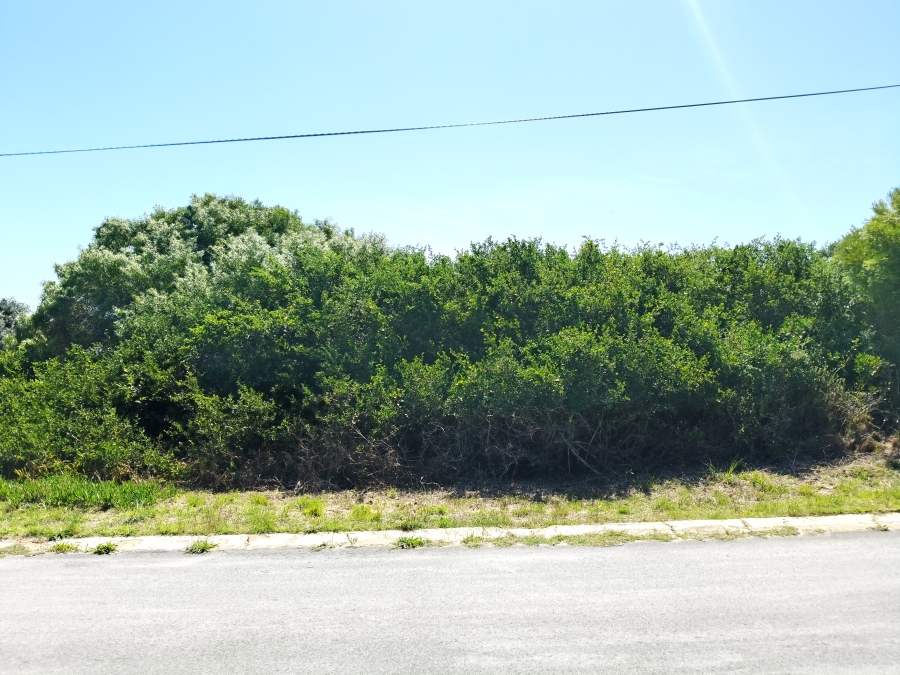 0 Bedroom Property for Sale in Paradise Beach Eastern Cape